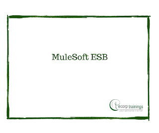 MuleSoft ESB training