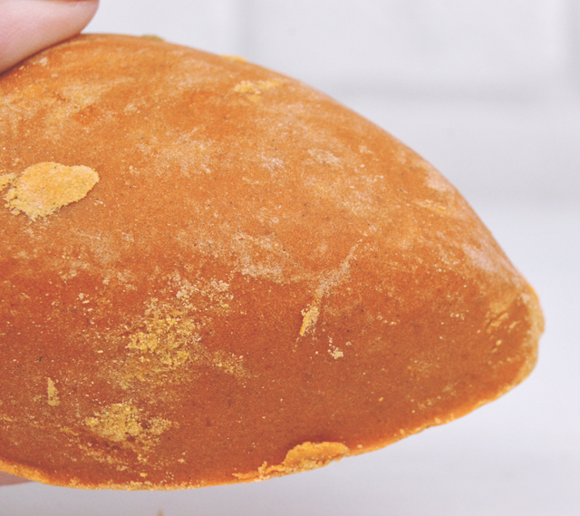 Becky Bedbug Review // Lush Pumice Power Foot Soap