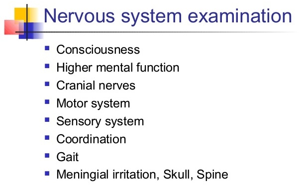 Neurological Examination