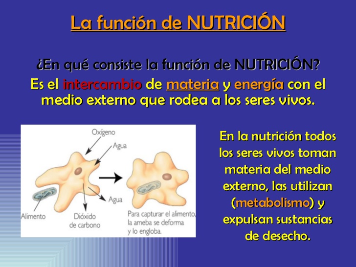BIOLOGIA