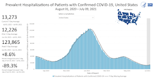 COVID-19 Positive Tests per Day