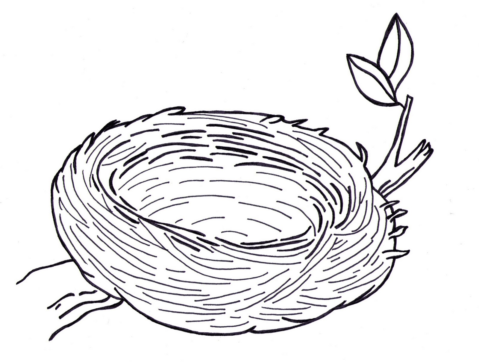 clipart picture of nest - photo #15