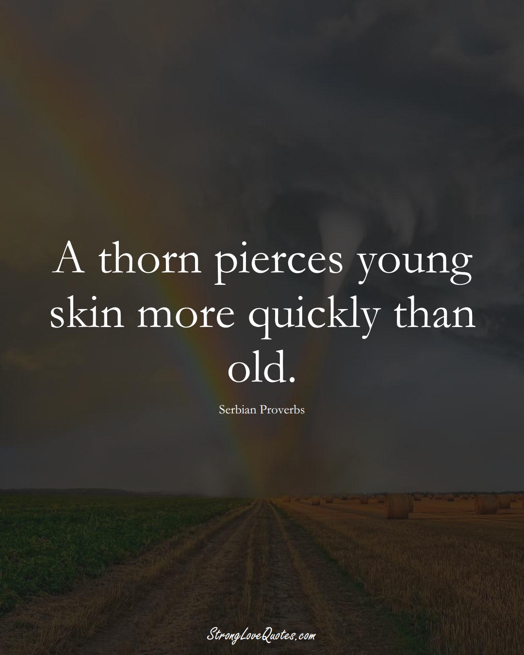 A thorn pierces young skin more quickly than old. (Serbian Sayings);  #EuropeanSayings