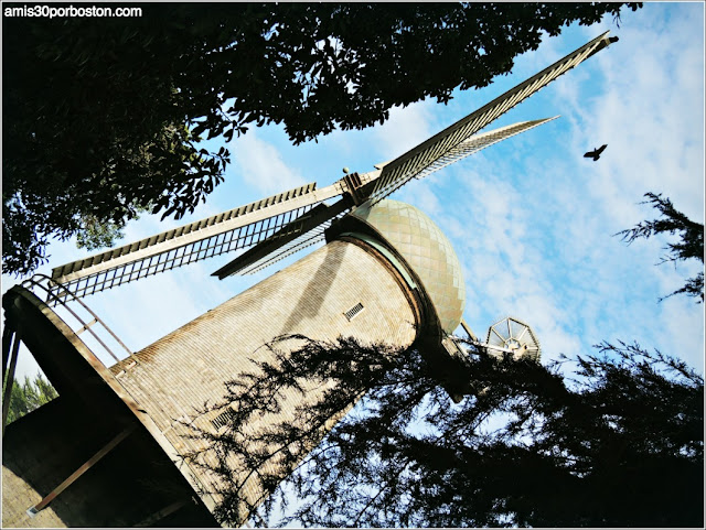 Golden Gate Park: Dutch Windmill