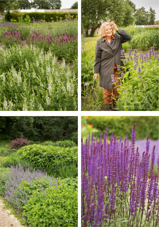 GartenblickGartenfotografie Ernst Pagels Bürgergarten in