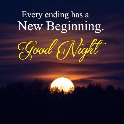 Good Night Quotes,wishes,whatsapp status,gif download - Total News Bharat