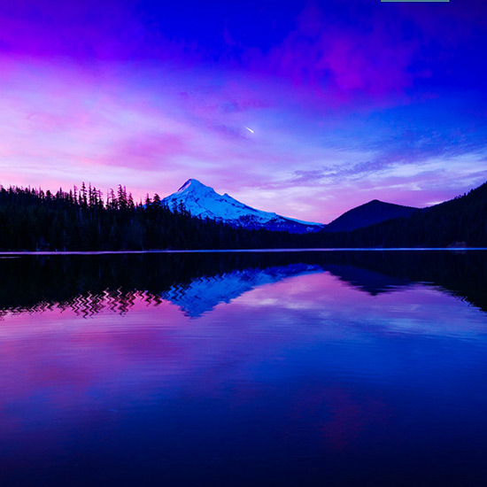 Full Hd P Flowers Wallpapers Desktop Backgrounds Hd Pictures And