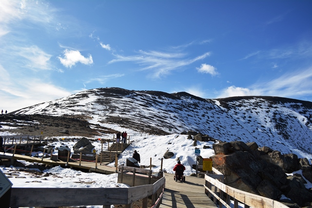 DSC_0421.JPG?width=300