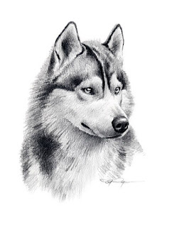 Pencil Drawing How To Tutorials To Advanced For Beginners