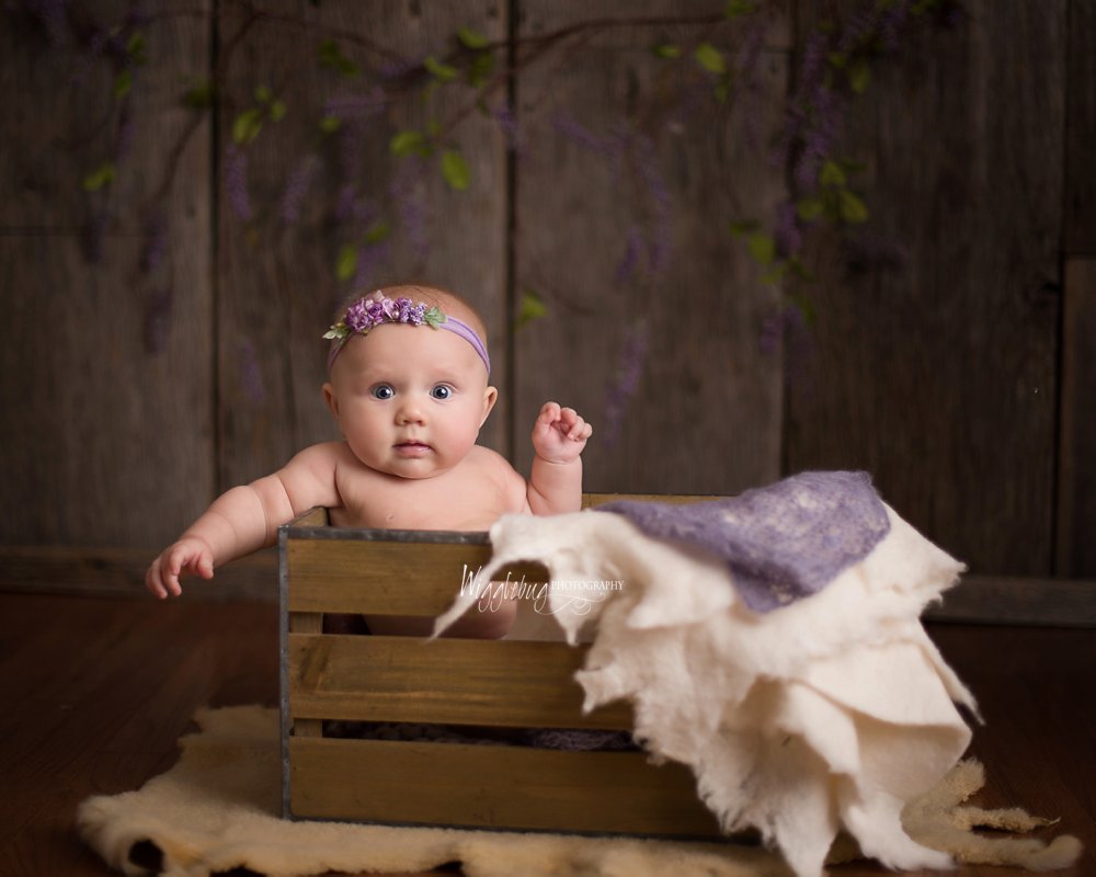 baby girl 4 month Heads up; baby plan milestone session in studio at Wigglebug Photography