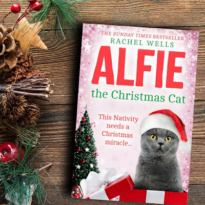 alfie-christmas-cat