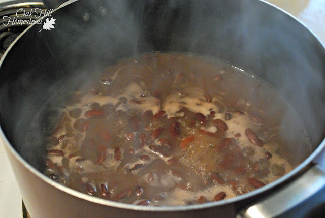 Bring the beans to a boil, then cook on medium heat for about 30 minutes.