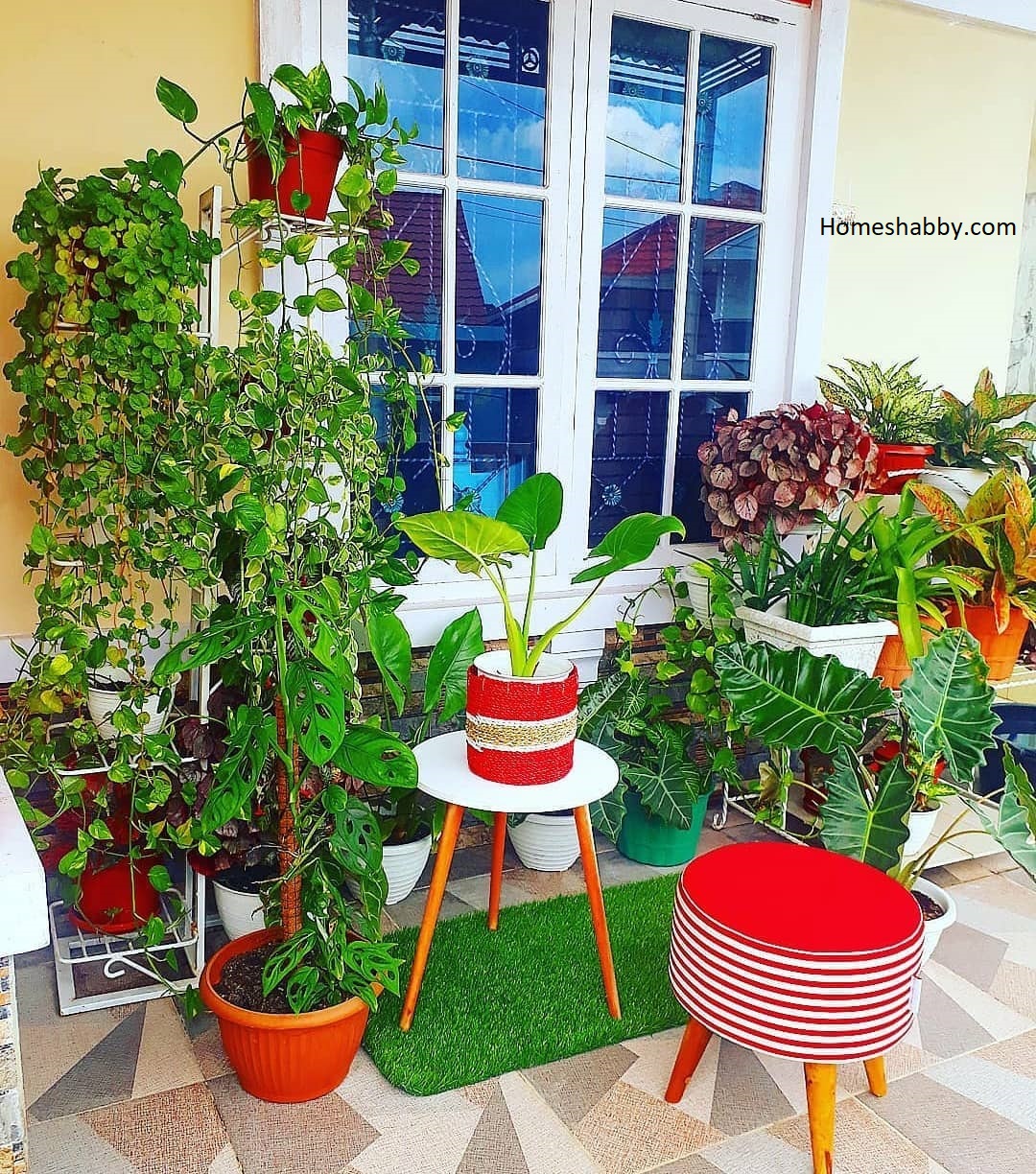 Desain Taman dengan Bunga Warna-warni. Percantk Taman Mungil Depan