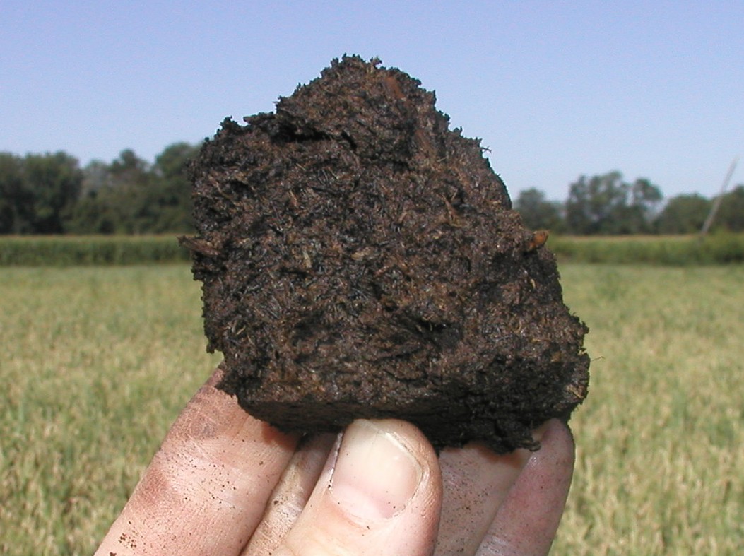 Civil Engineering Types of Soil