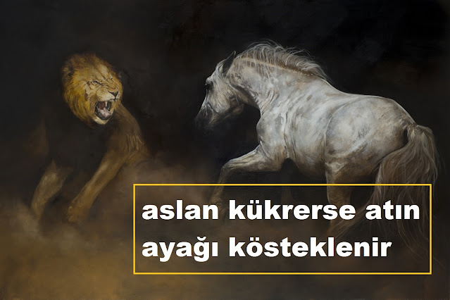 aslan kükrerse atın ayağı kösteklenir