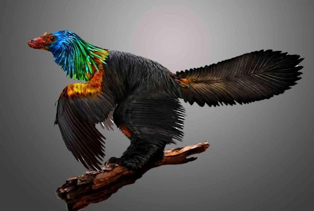 'Rainbow Dinosaur' With Iridescent Feathers