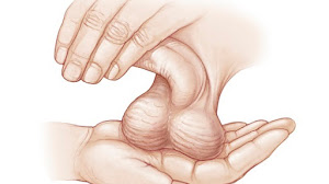 Como Agrandar Los Testiculos