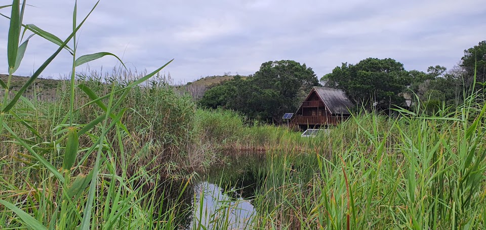 Goukamma, Nature reserve, Marine Protected Area, Sunset, Knysna, river lodge, hiking Garden route, River Fun, Fish Eagle Lodge, Birding, Seabirds, Porcupine Trail, Groenvlei,