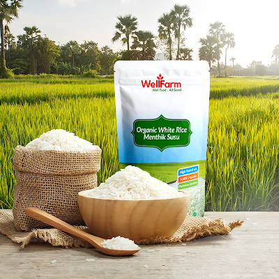 harga beras organik kota palu