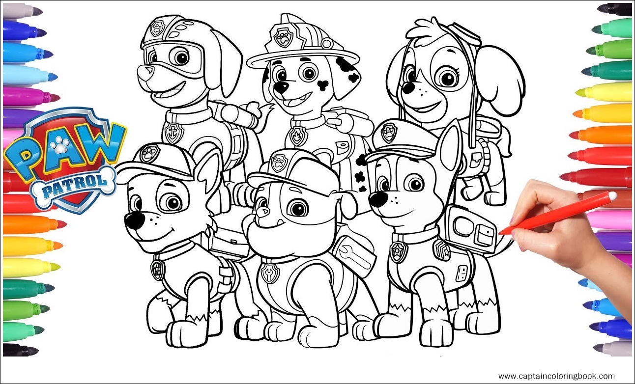 собака зума щенячий патруль. щенячий патруль герои. щенячий патруль маршал вектор. щенячий патруль гонщик и зума. щенячий патруль цветные.