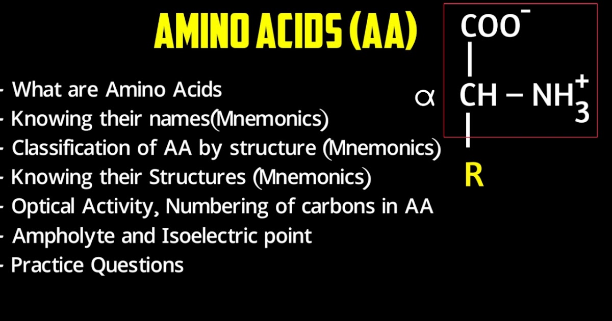 Science Lair Amino acids Definition, structure, classification with