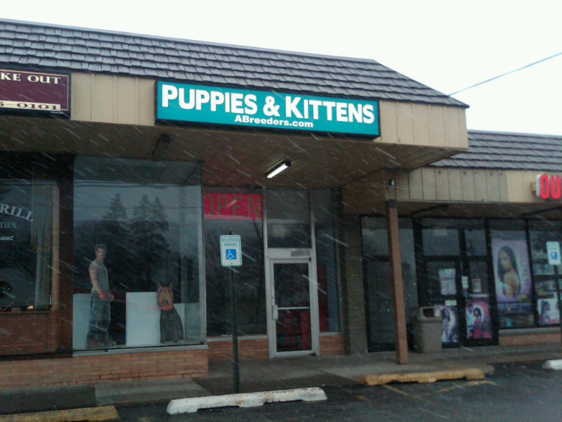 A Voice 4 Animals Dutchess County SPCA seizes ten unhealthy puppies