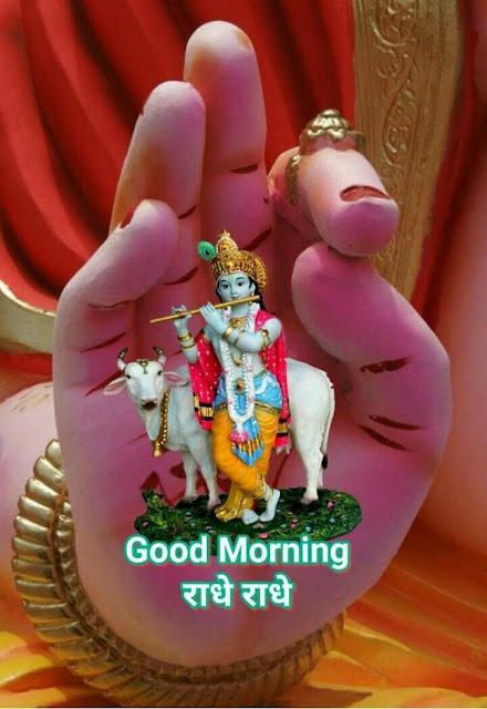 Good Morning Happy Krishna Janmashtami Wishes,
