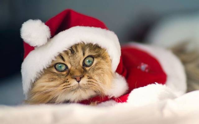 Picdump-Ritemail-271212-028.jpg