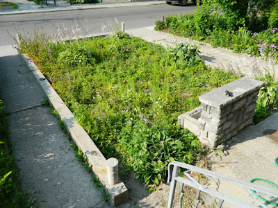 Bloordale garden clean up Paul Jung Gardening Services Toronto before