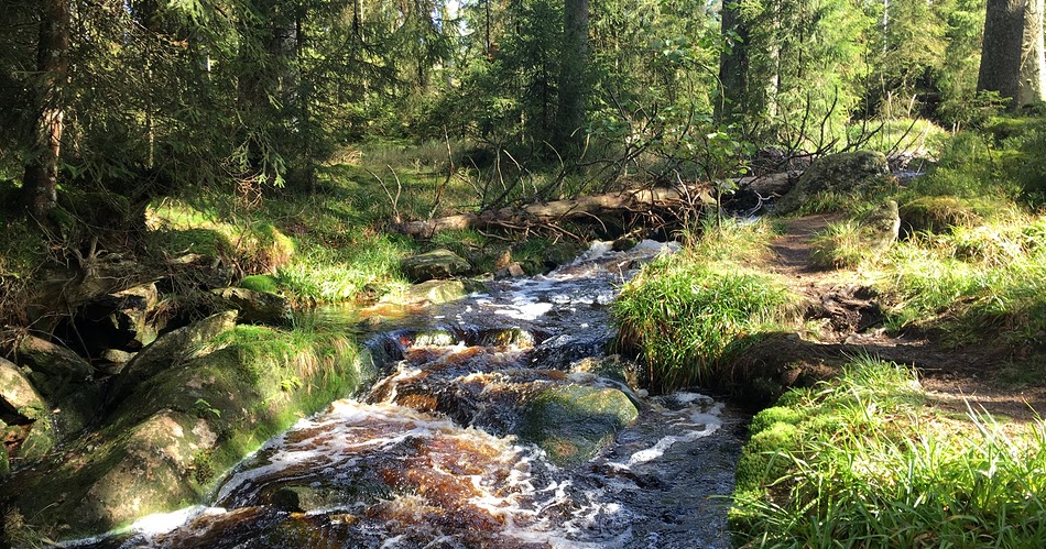 Anaplastisches Oligodendrogliom Tolle Herbsttage