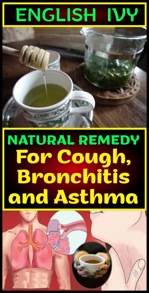 English Ivy Natural Remedy For Cough, Bronchitis & Asthma
