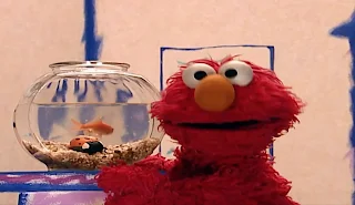 Elmo's World Bugs Dorothy’s Question