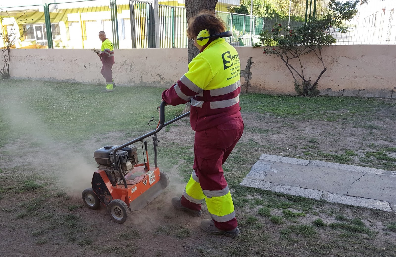 Segado y escarificado de césped