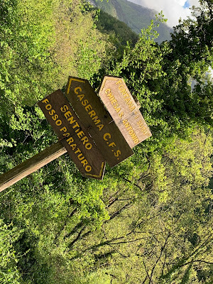 Cosa fare di domenica trekking