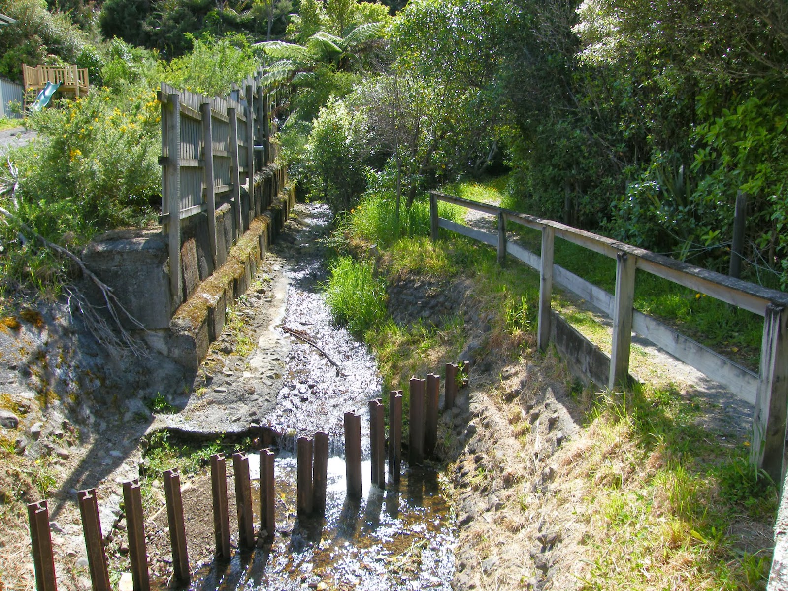 The Life and Adventures of Mel: Rata Street Loop Trail