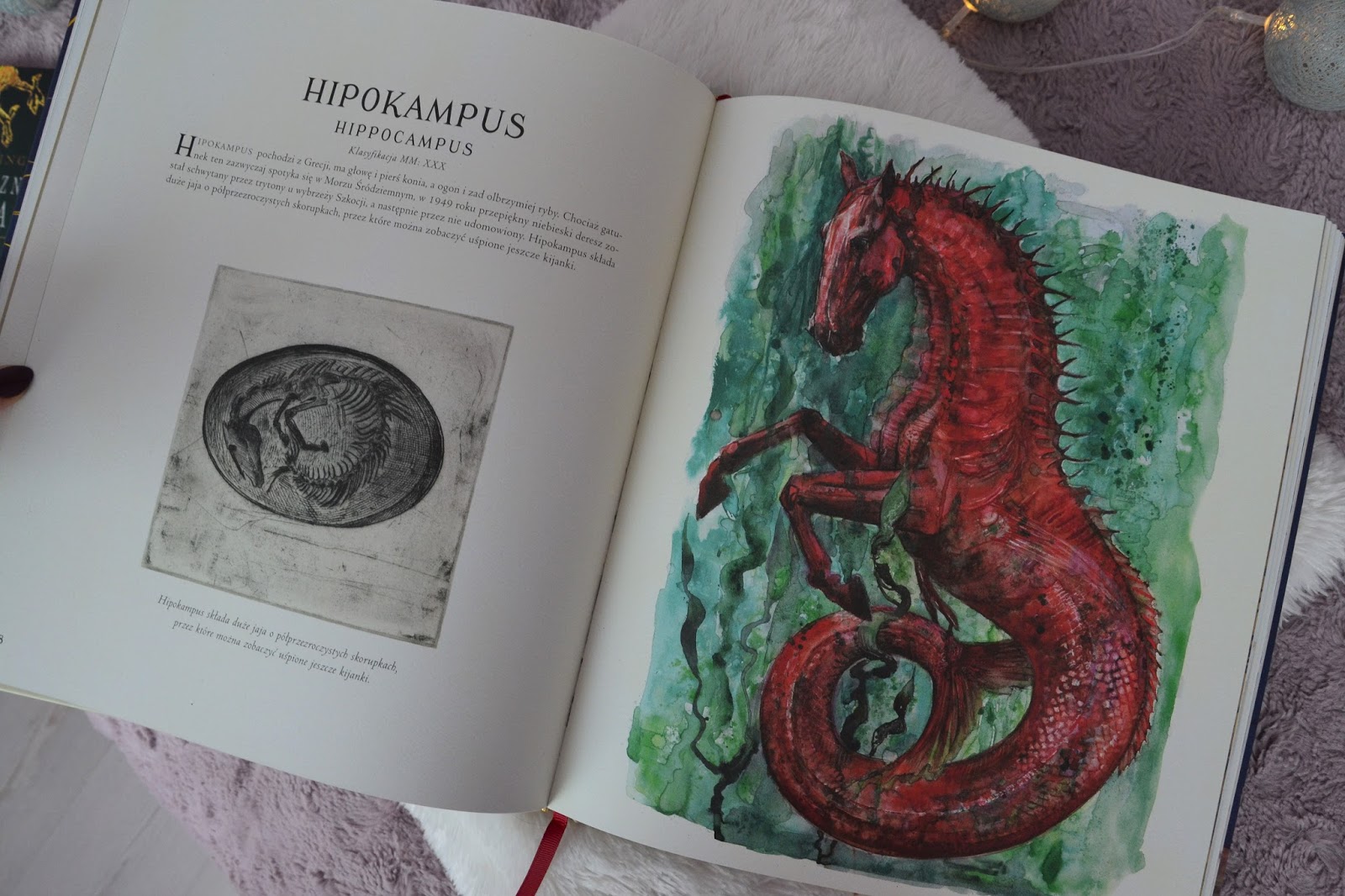 Fantastyczne Stworzenia I Jak Je Znaleźć Pdf