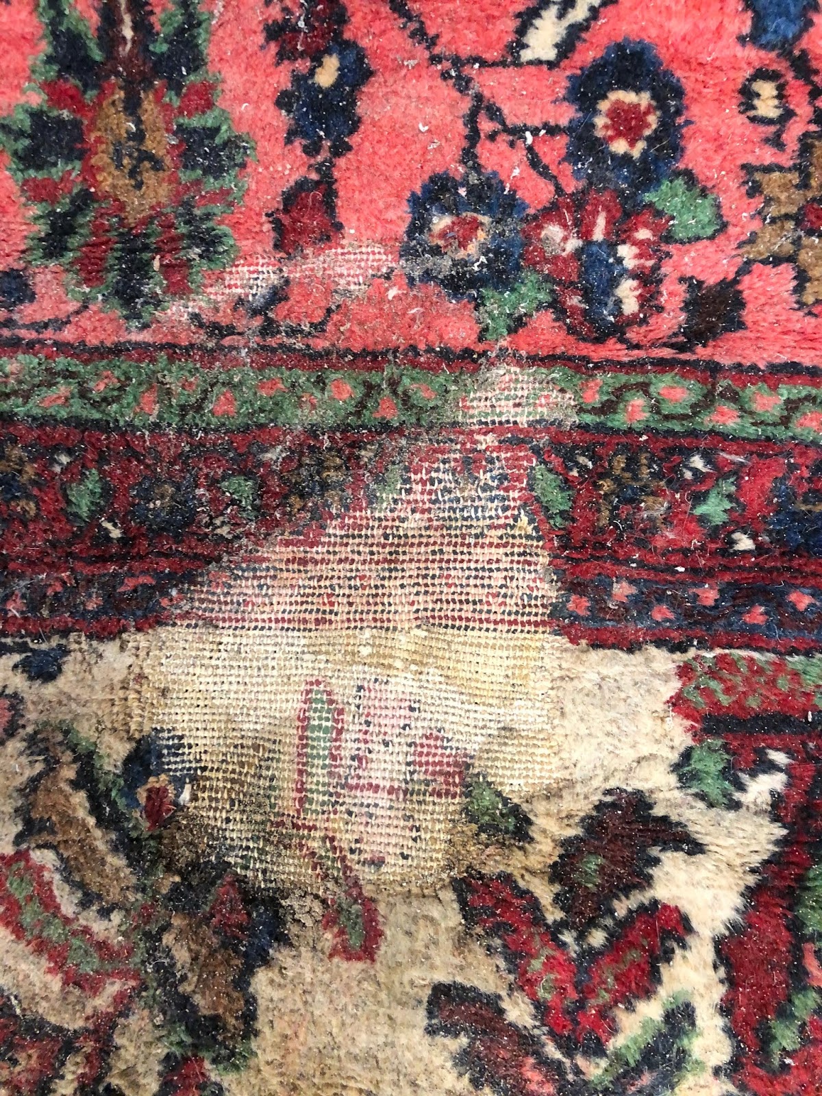Professionally Cleaning Moth Infested Rugs