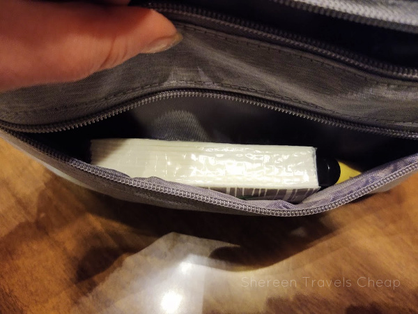 Review: The Travelon Seat Pack Organizer - Shereen Travels Cheap