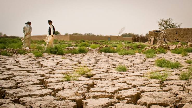 Climate Change, Land Degradation and the Loss of Agricultural Land જળ, જમીન અને જંગલને બચાવો