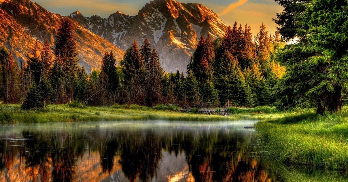 Plano de Fundo PC HD Natureza Plano de Fundo PC HD Natureza