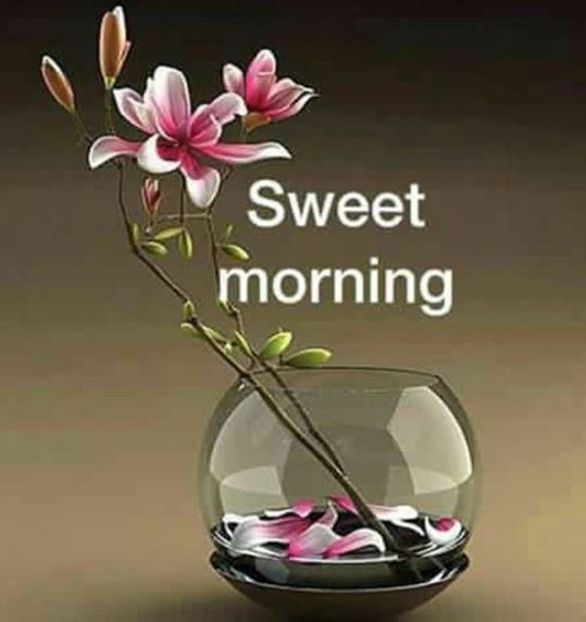 good morning flowers