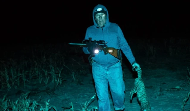 Feral cat shooter of Australia