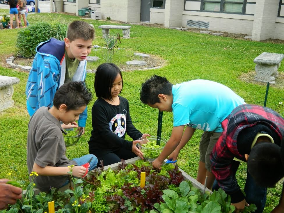 Sharing Our Guilford County School Gardens Johnson Street Global