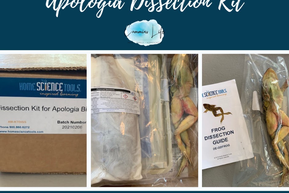 Cummins Life Dissection Kit for Exploring Creation with Biology Review