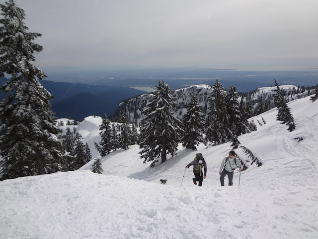 hiking mt. seymour