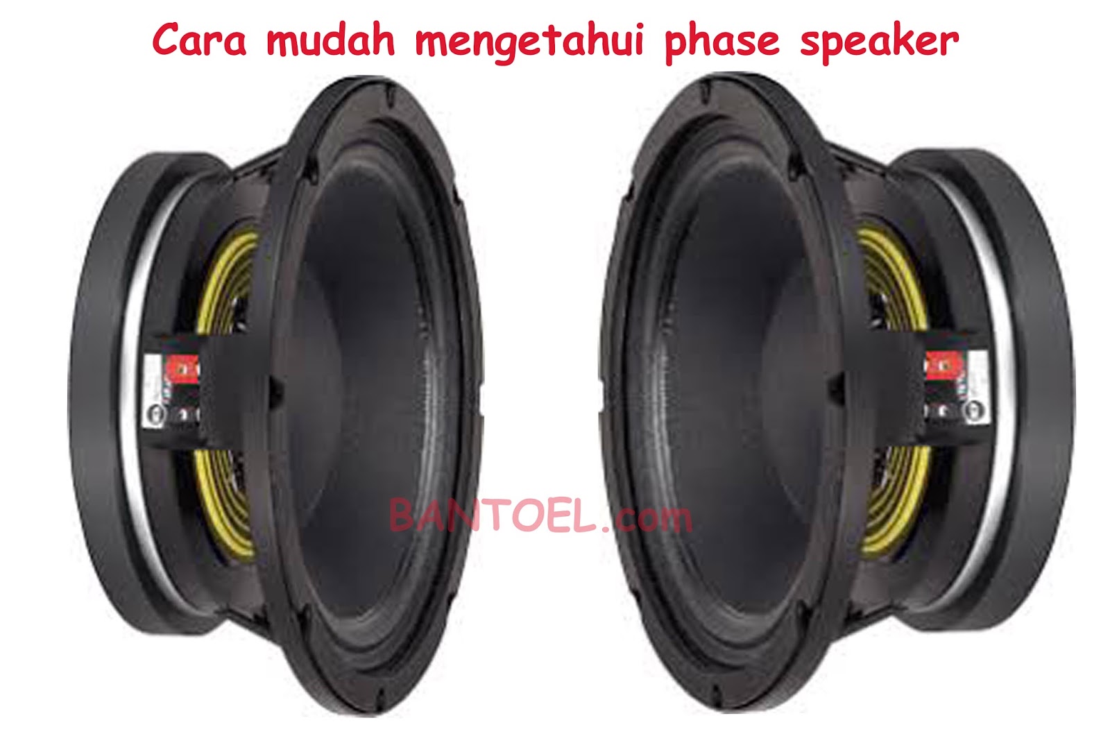 Cara Mudah Mengetahui Phase Speaker Agar Tidak Cempreng