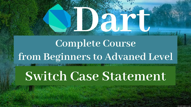 How do you use a switch case in darts?كيف تستخدم حالة التبديل في لغة دارت؟