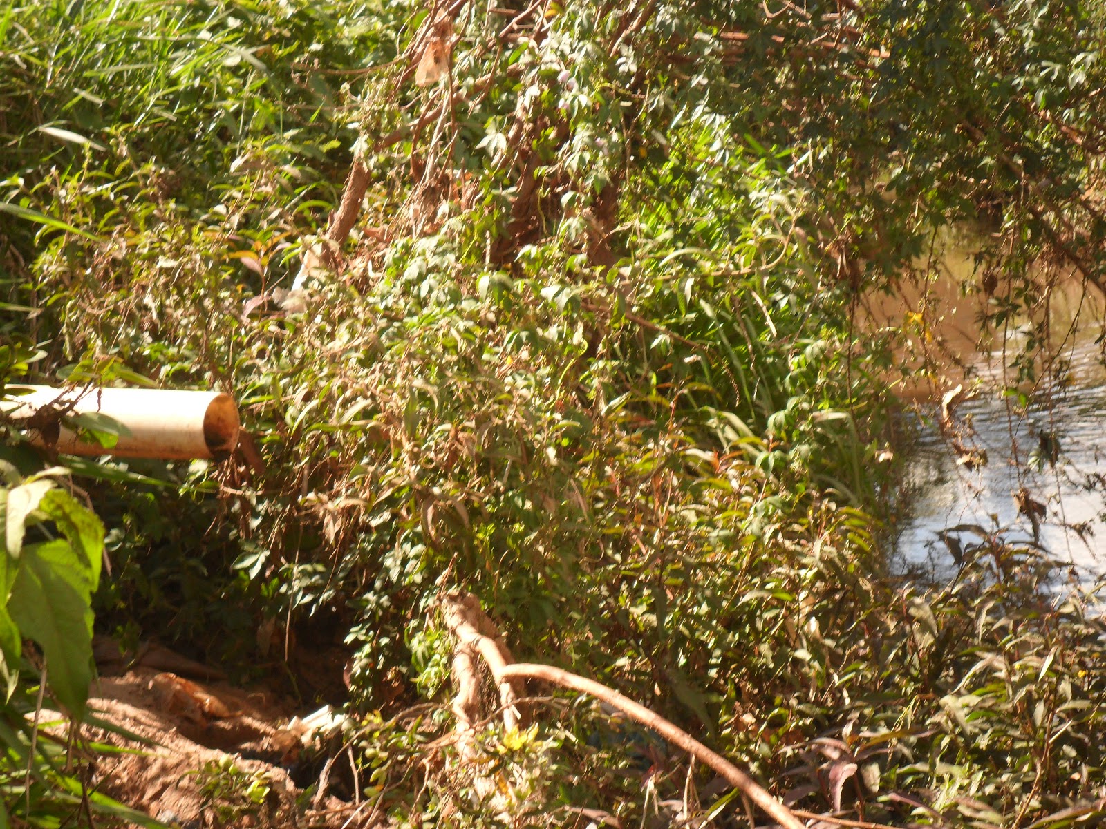 darsony-chaves-impactos-ambientais-provocados-pela-ocupa-o-irreguar