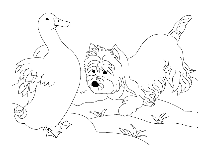28 Animal Colouring Pages Printable - DANA MILENIAL