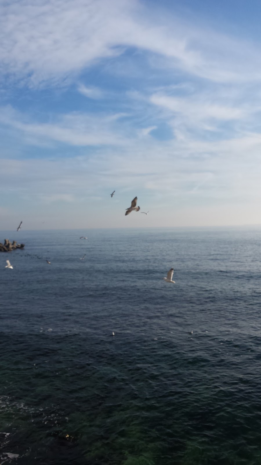 Elena Scrie Recenzie Literară Panza De Păianjen De Cella Serghi